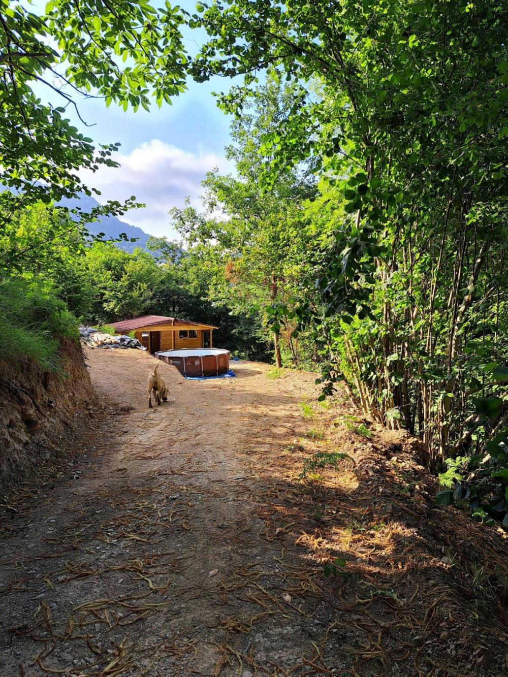  à vendre maison de campagne Campo De Caso Nalón 49