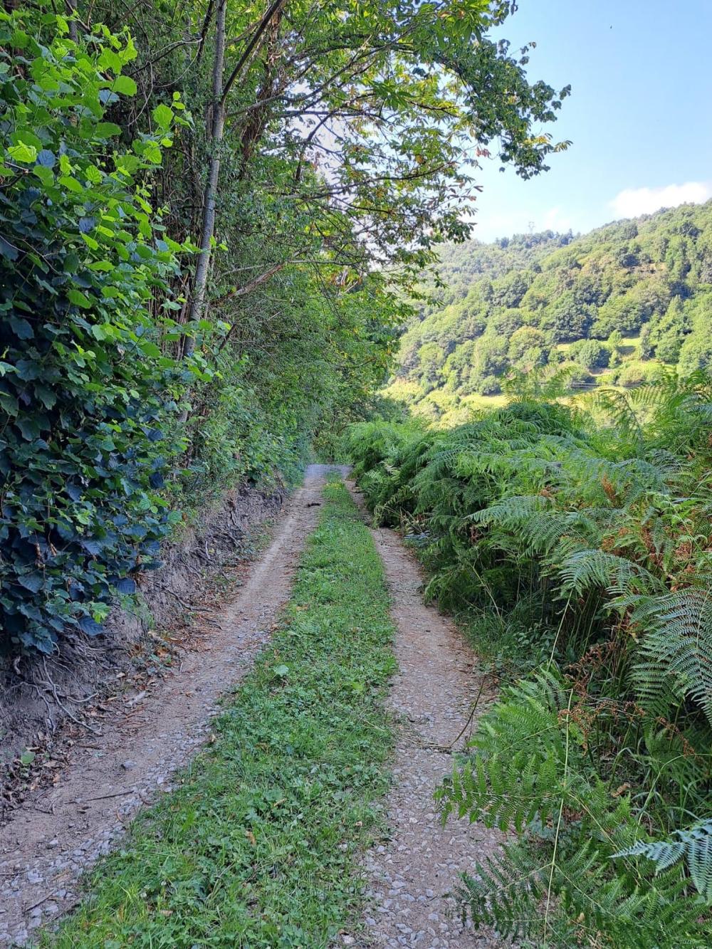  à vendre maison de campagne Campo De Caso Nalón 27