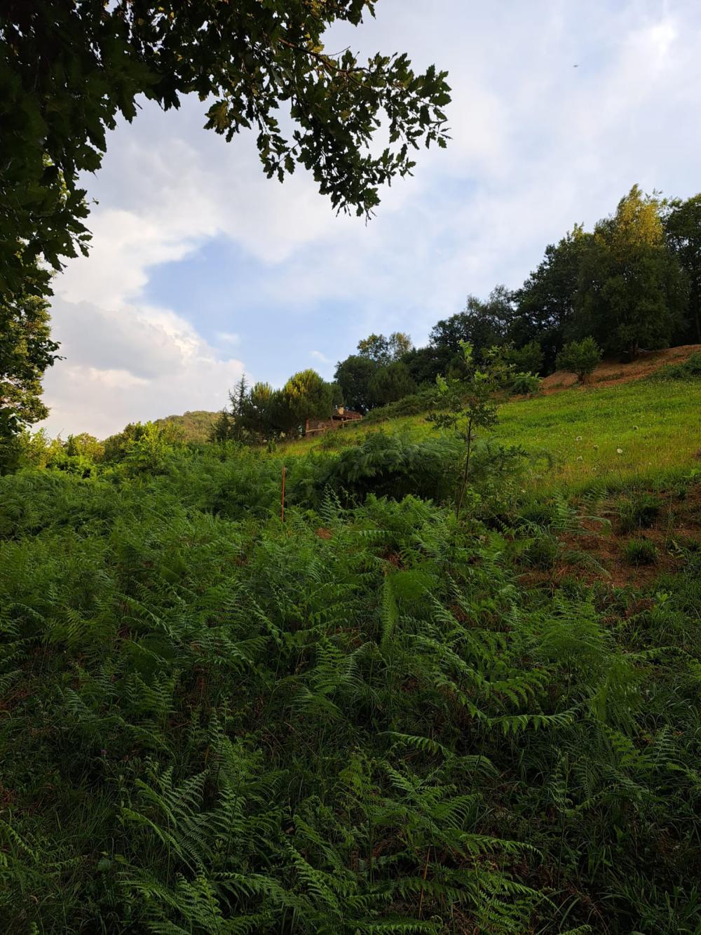 à vendre maison de campagne Campo De Caso Nalón 15