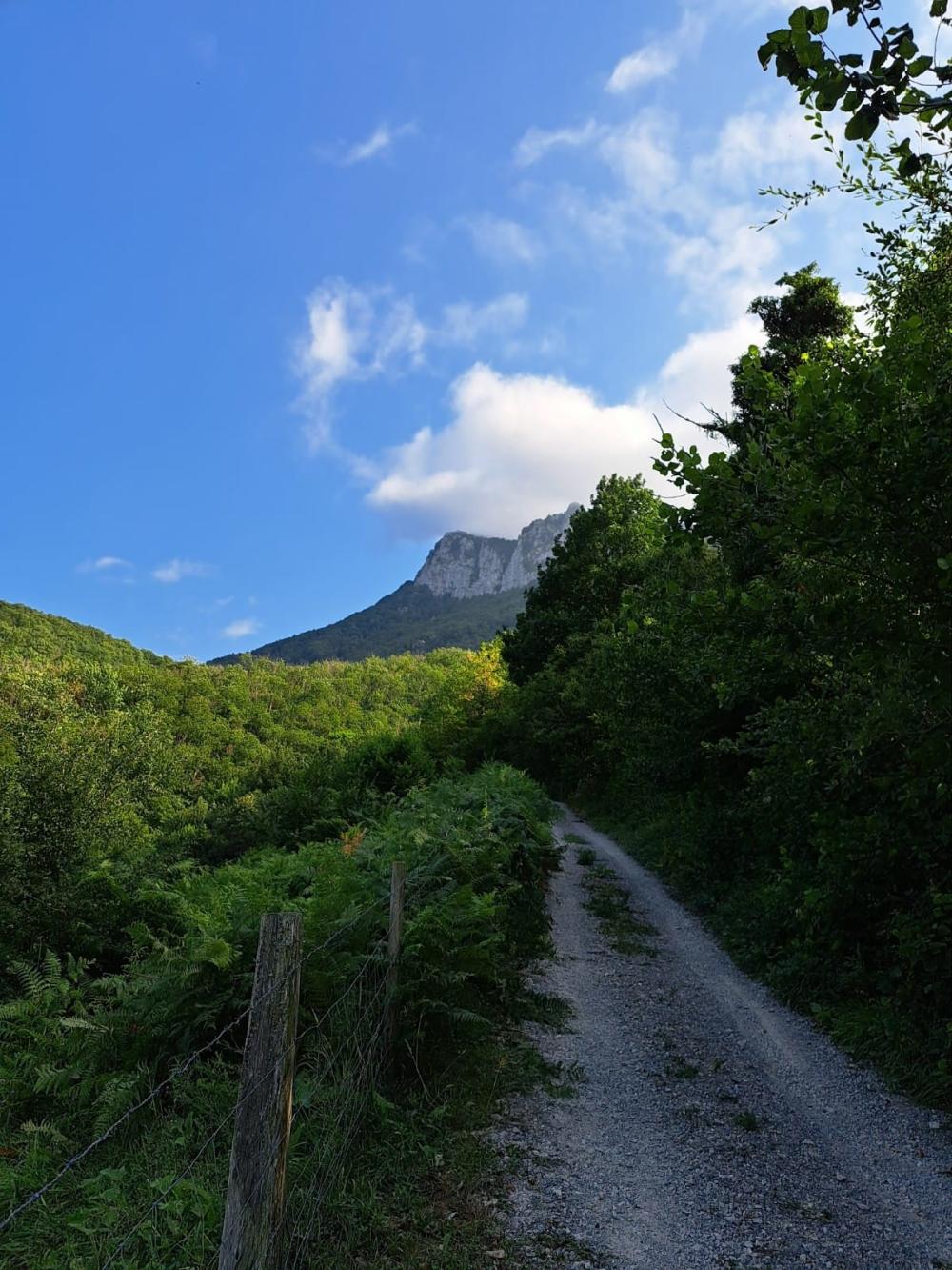  à vendre maison de campagne Campo De Caso Nalón 41