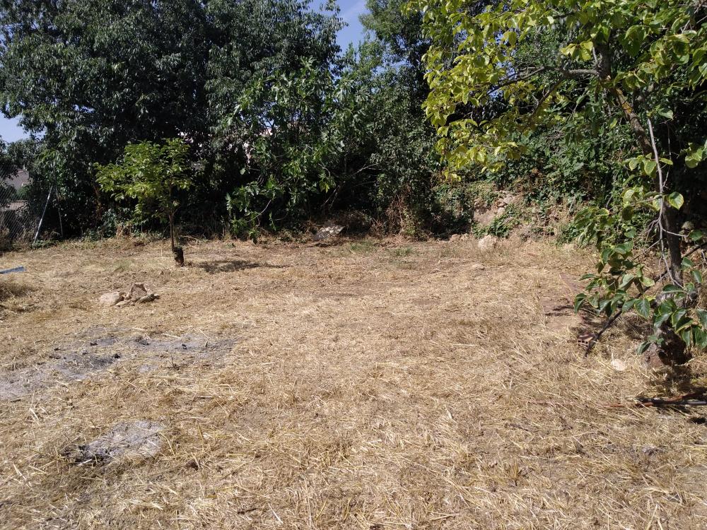  à vendre villa Frailes Sierra Sur 6