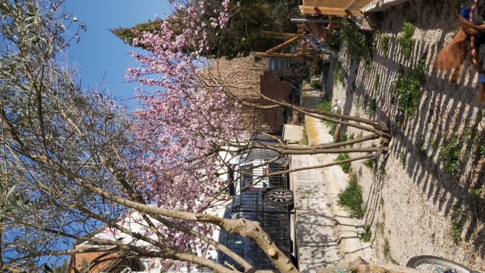  à vendre maison La Torre Anoia 24