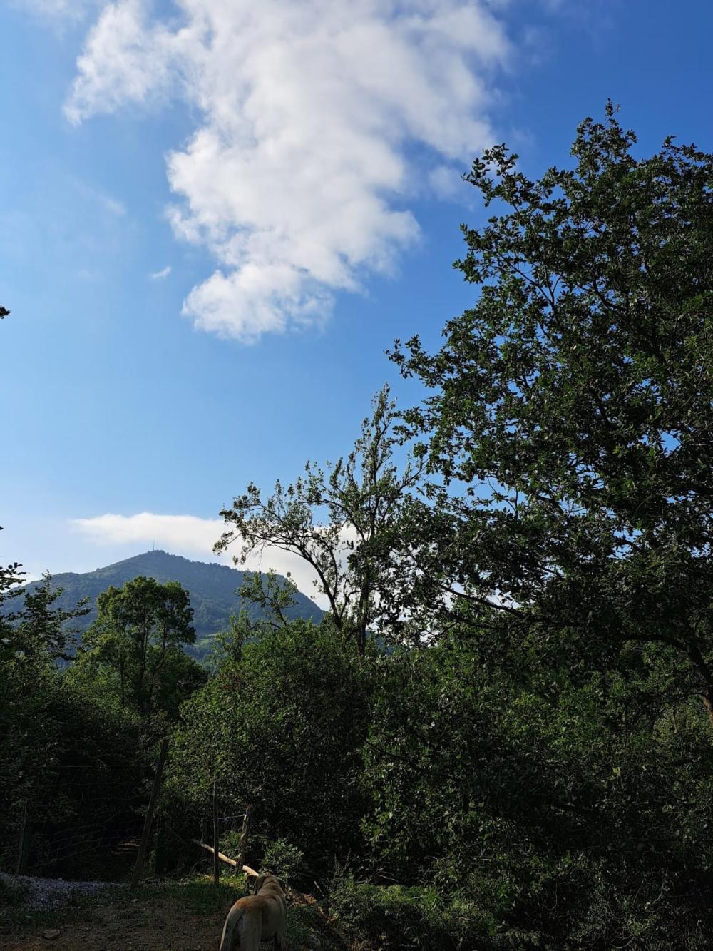  à vendre maison de campagne Campo De Caso Nalón 38