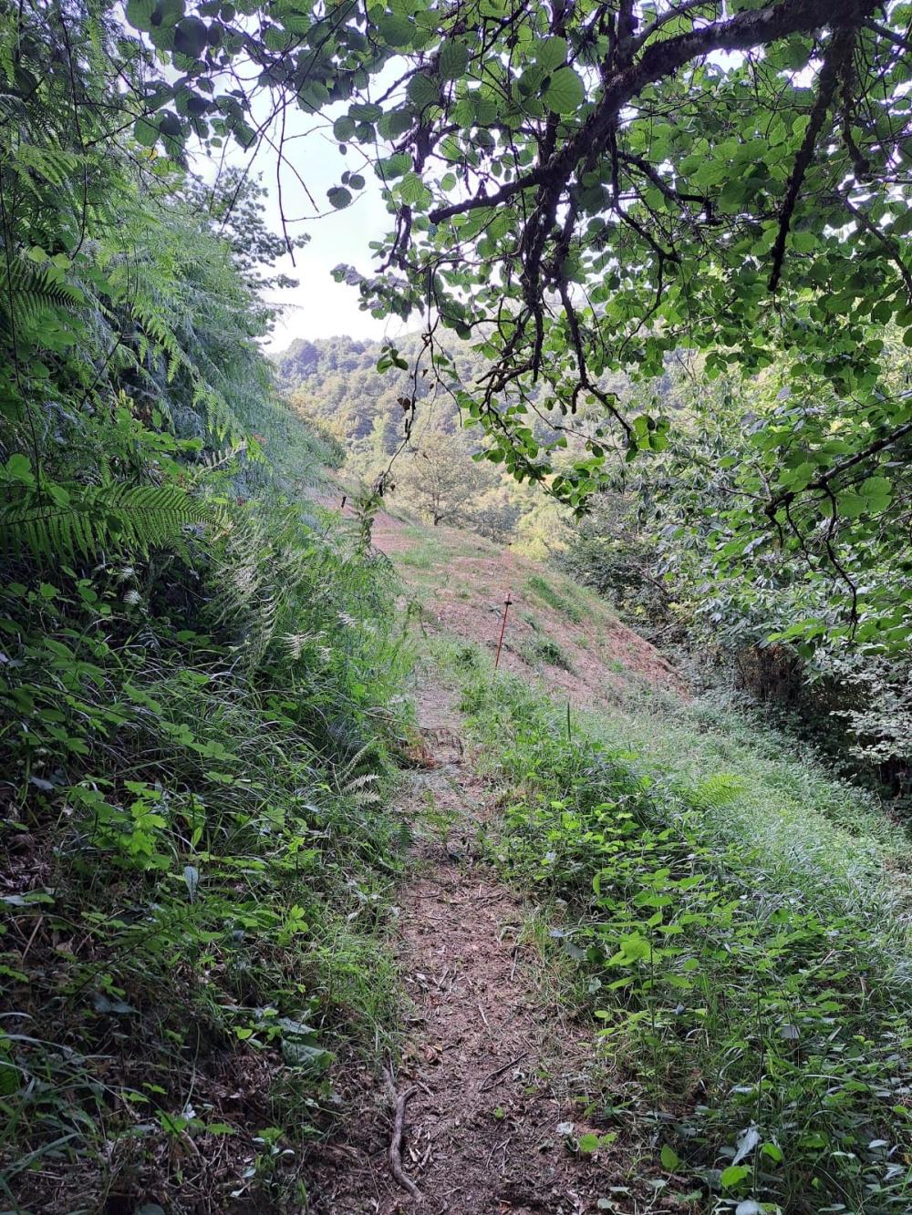  à vendre maison de campagne Campo De Caso Nalón 32