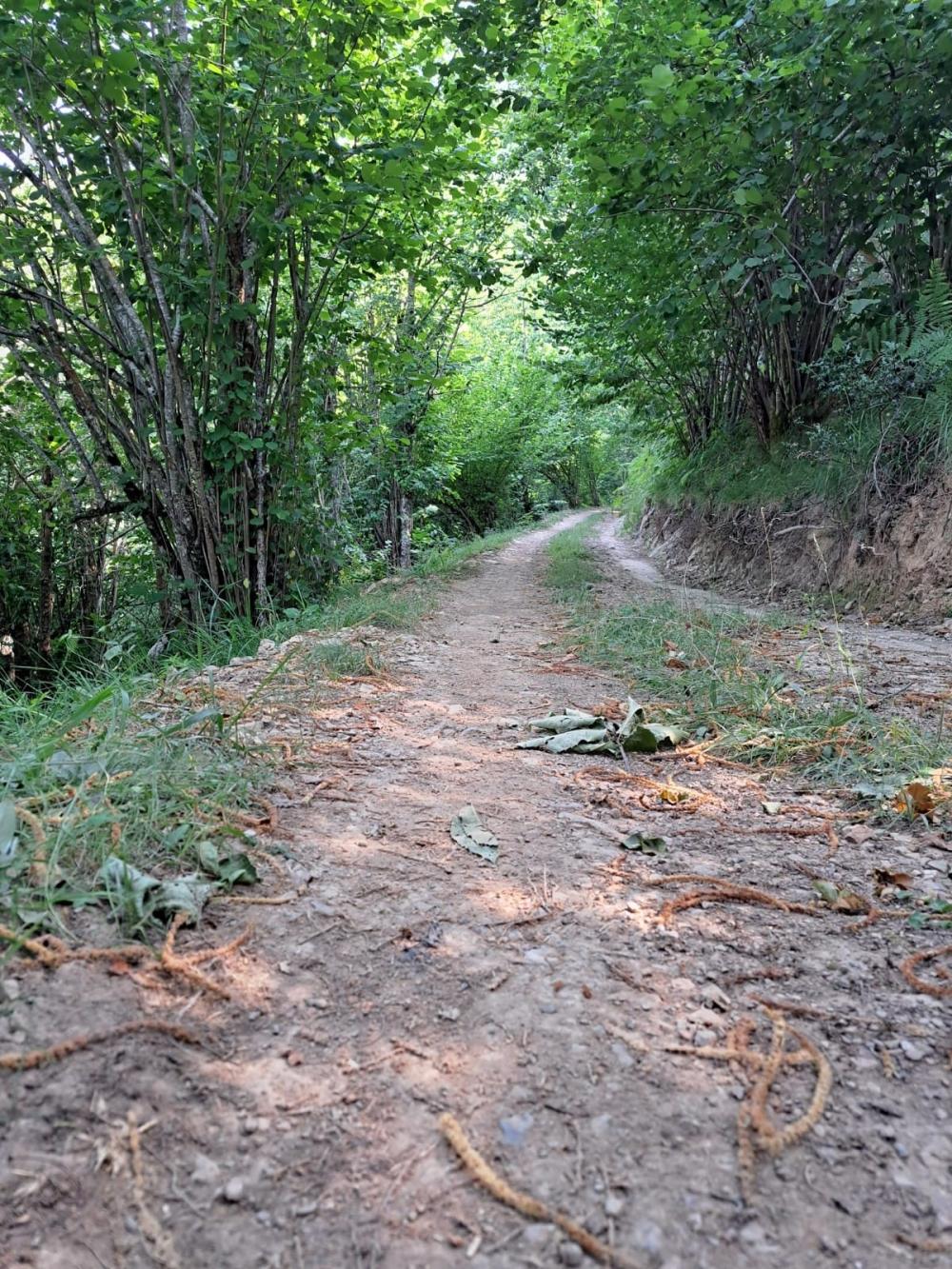  à vendre maison de campagne Campo De Caso Nalón 16