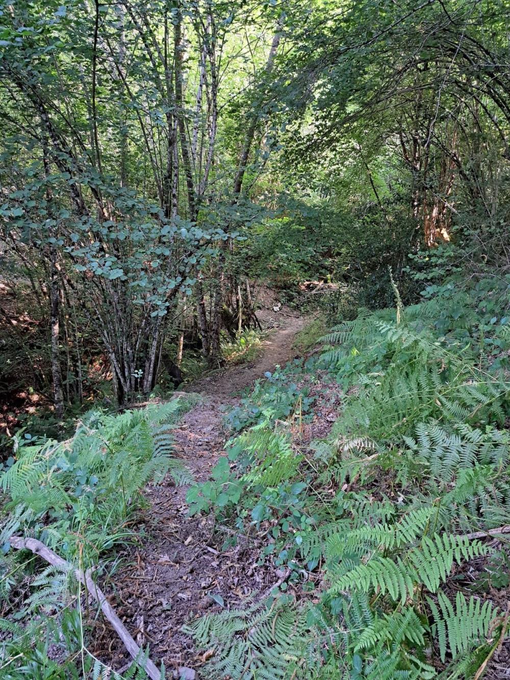  à vendre maison de campagne Campo De Caso Nalón 29