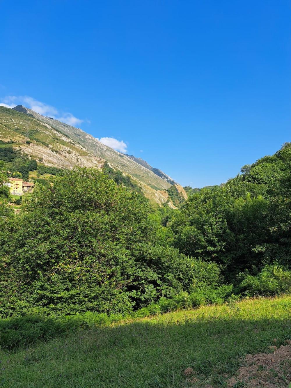 à vendre maison de campagne Campo De Caso Nalón 35