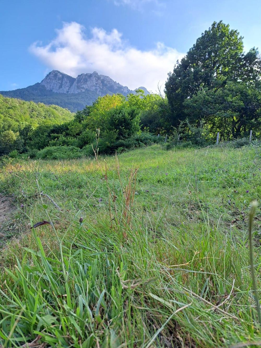  à vendre maison de campagne Campo De Caso Nalón 36