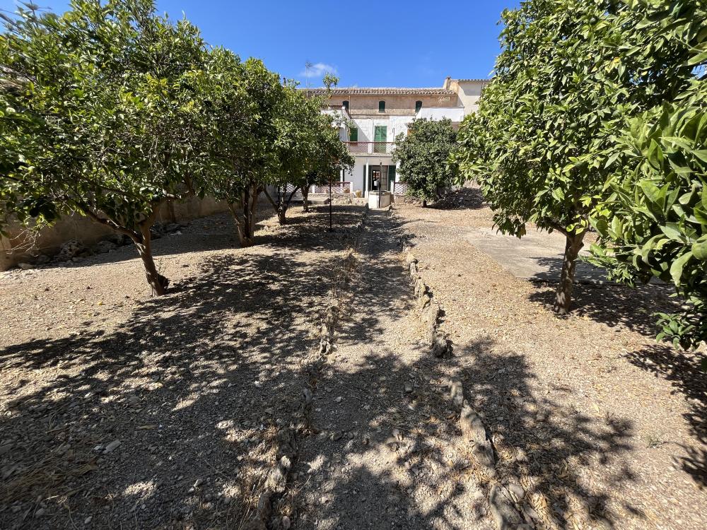  à vendre maison Santa Maria Del Camí Raiguer 21