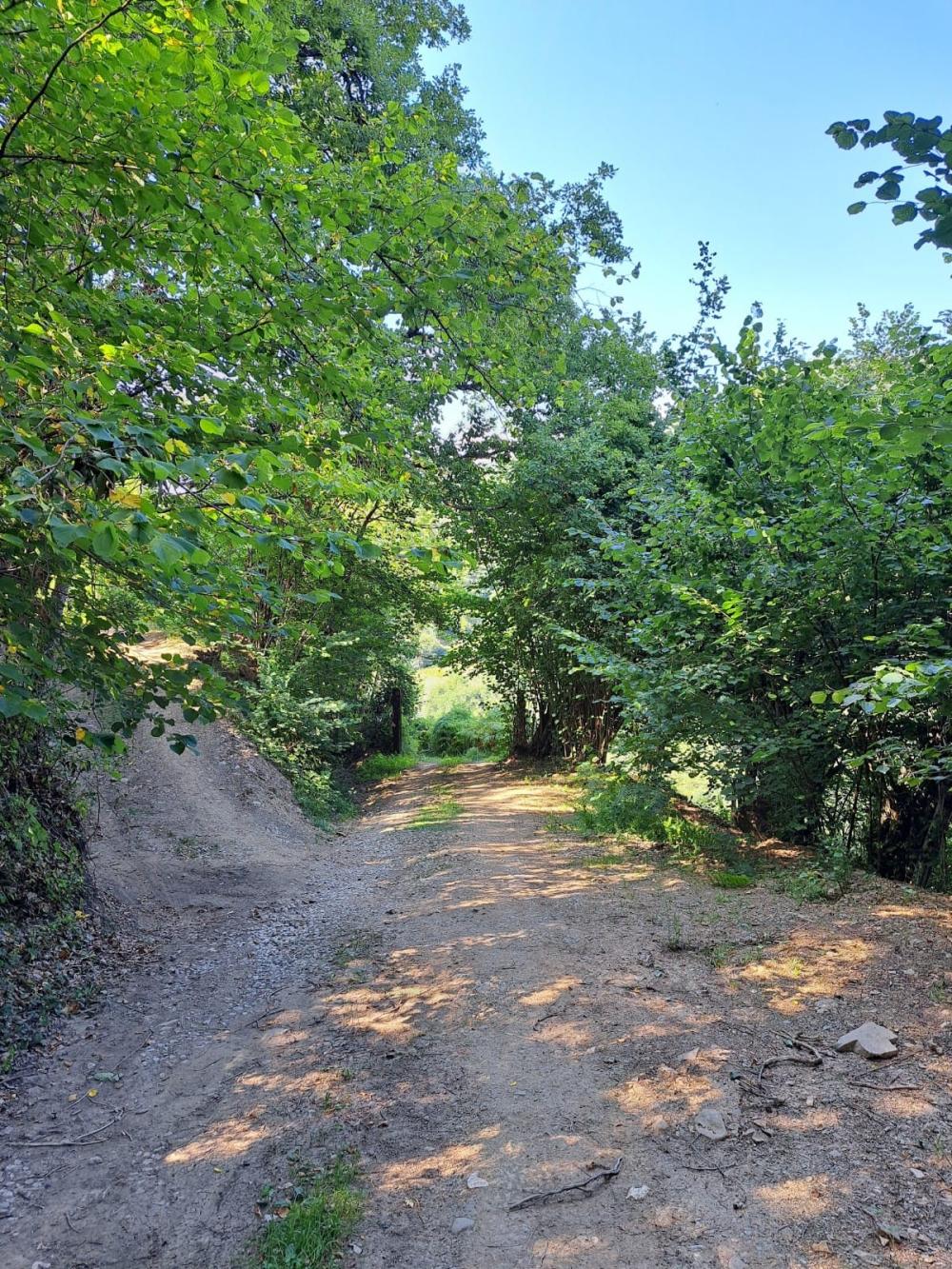  à vendre maison de campagne Campo De Caso Nalón 25