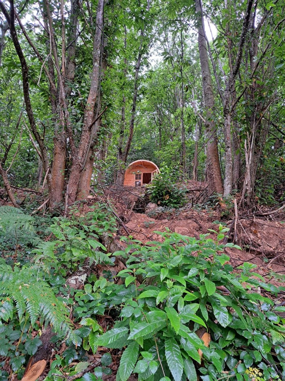  à vendre maison de campagne Campo De Caso Nalón 55