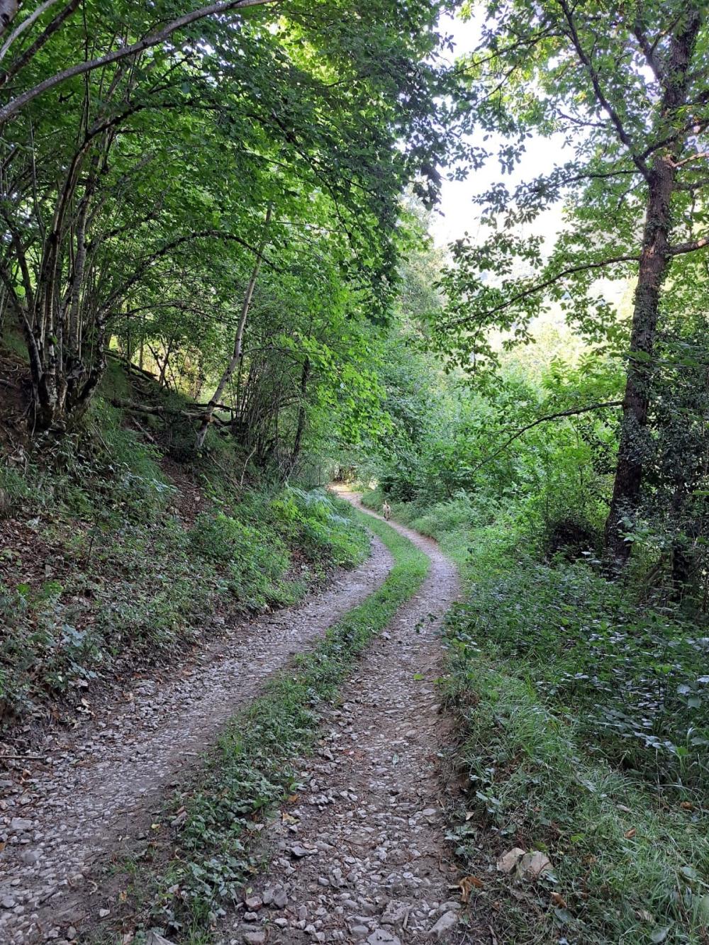  à vendre maison de campagne Campo De Caso Nalón 24