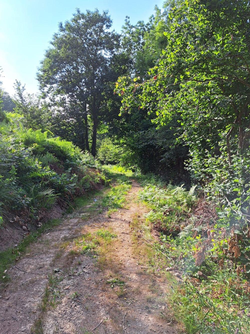  à vendre maison de campagne Campo De Caso Nalón 51