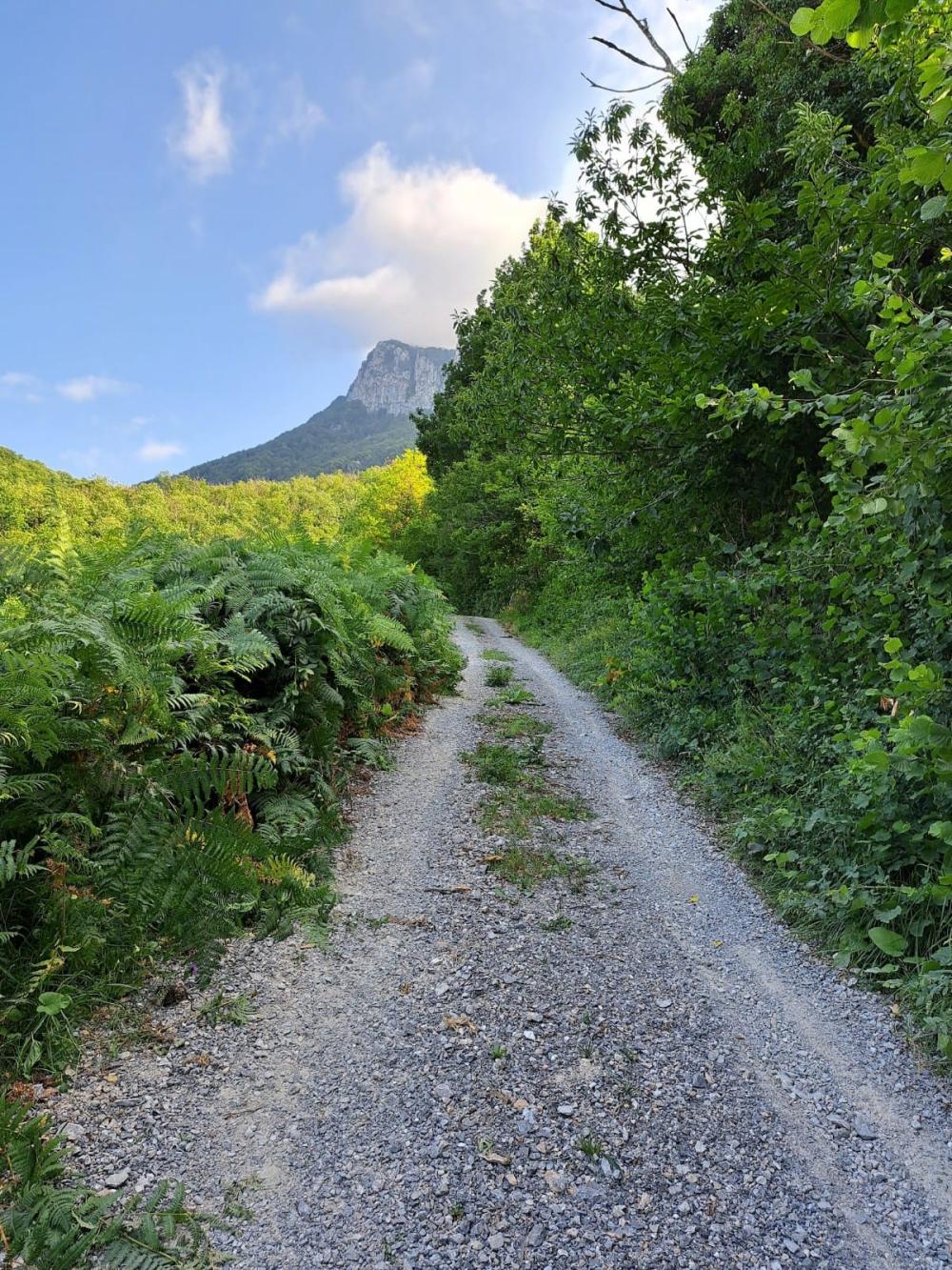  à vendre maison de campagne Campo De Caso Nalón 42