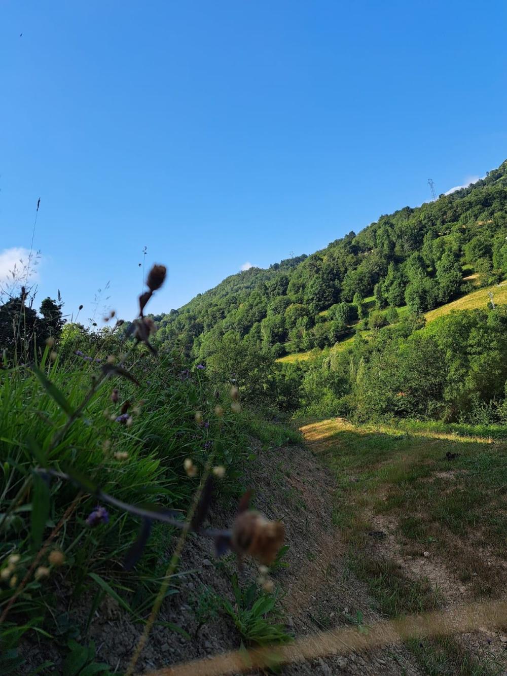  à vendre maison de campagne Campo De Caso Nalón 34