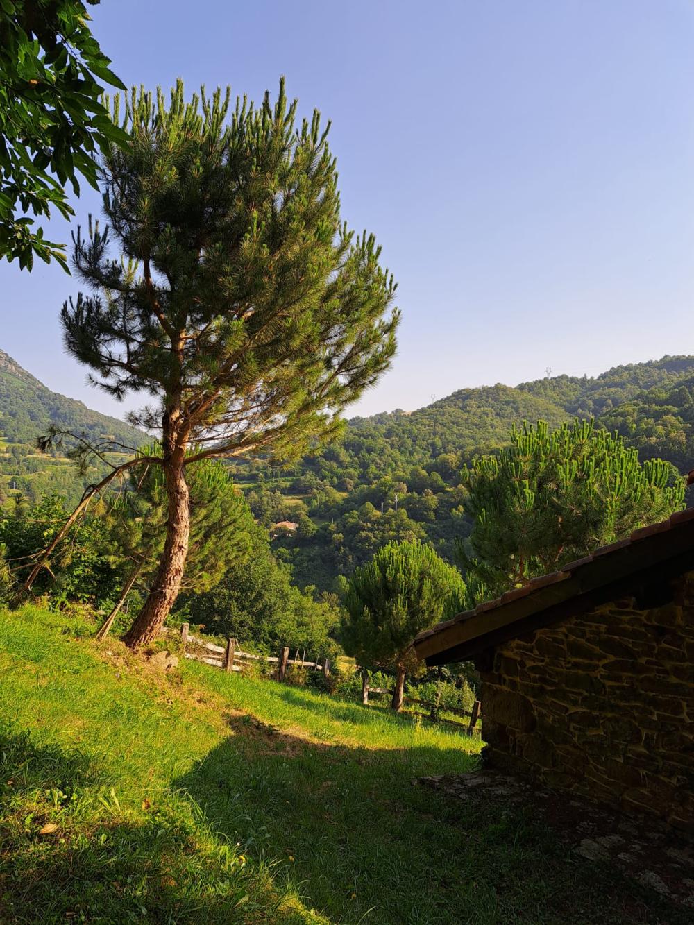  à vendre maison de campagne Campo De Caso Nalón 11