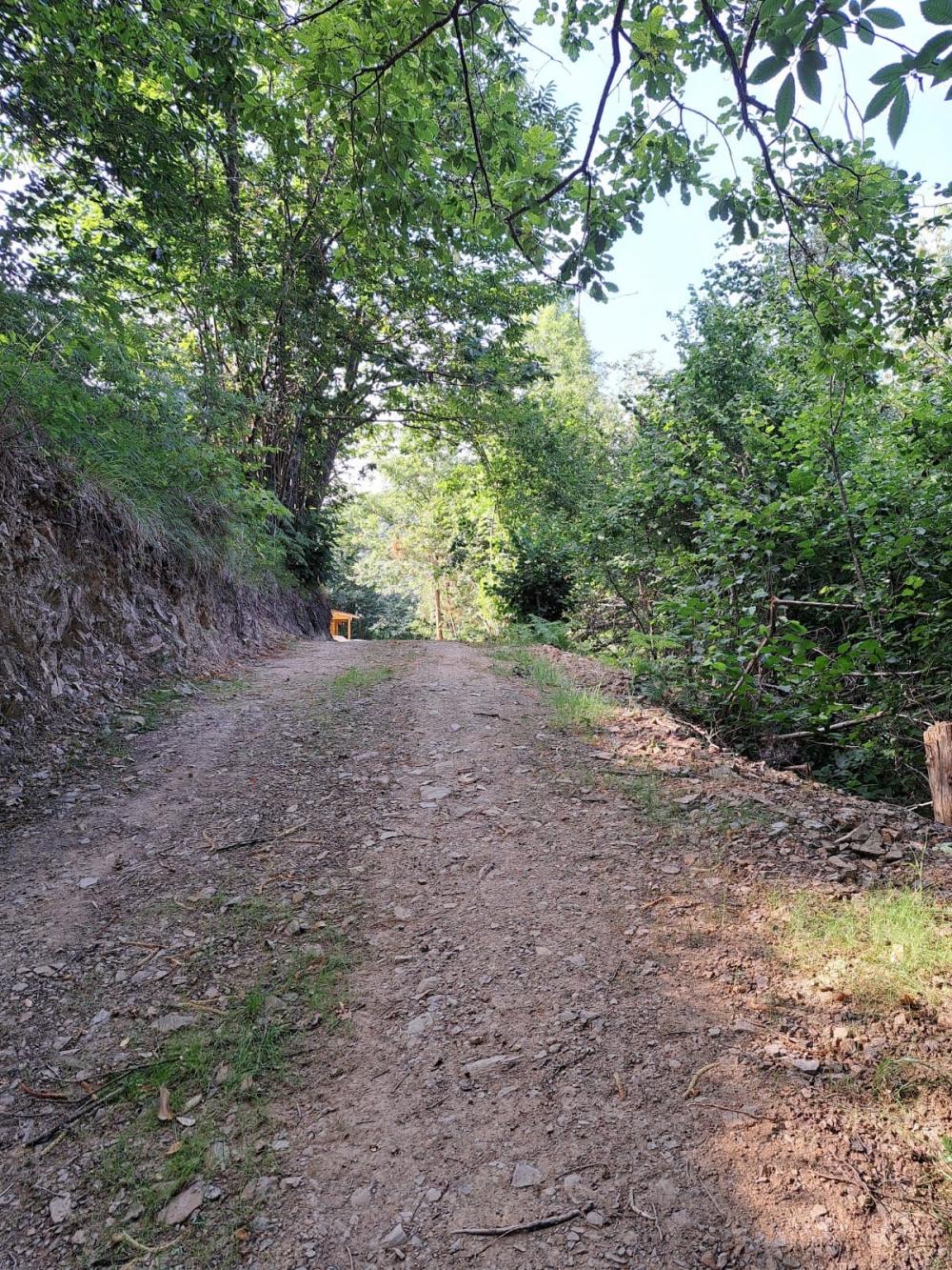  à vendre maison de campagne Campo De Caso Nalón 48