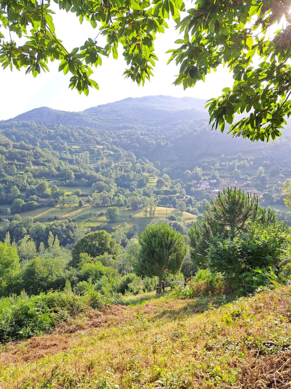  à vendre maison de campagne Campo De Caso Nalón 12