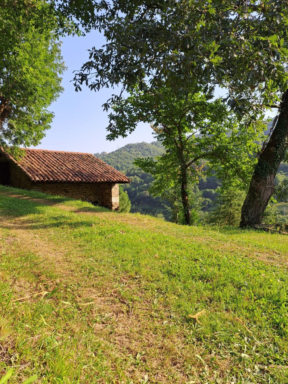  à vendre maison de campagne Campo De Caso Nalón 10