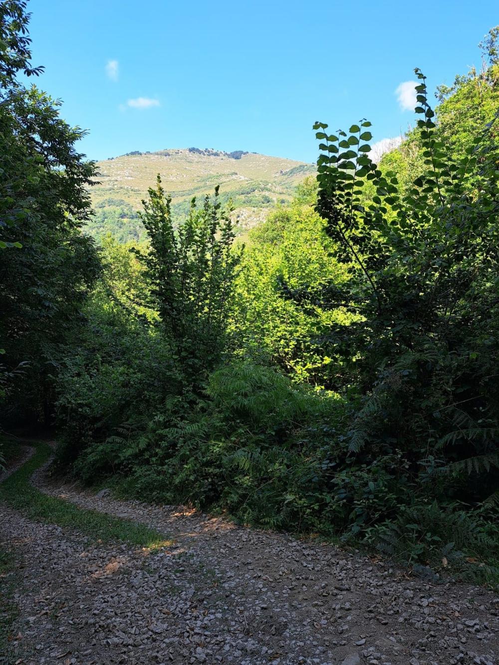  à vendre maison de campagne Campo De Caso Nalón 20
