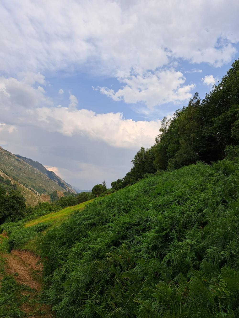  à vendre maison de campagne Campo De Caso Nalón 14
