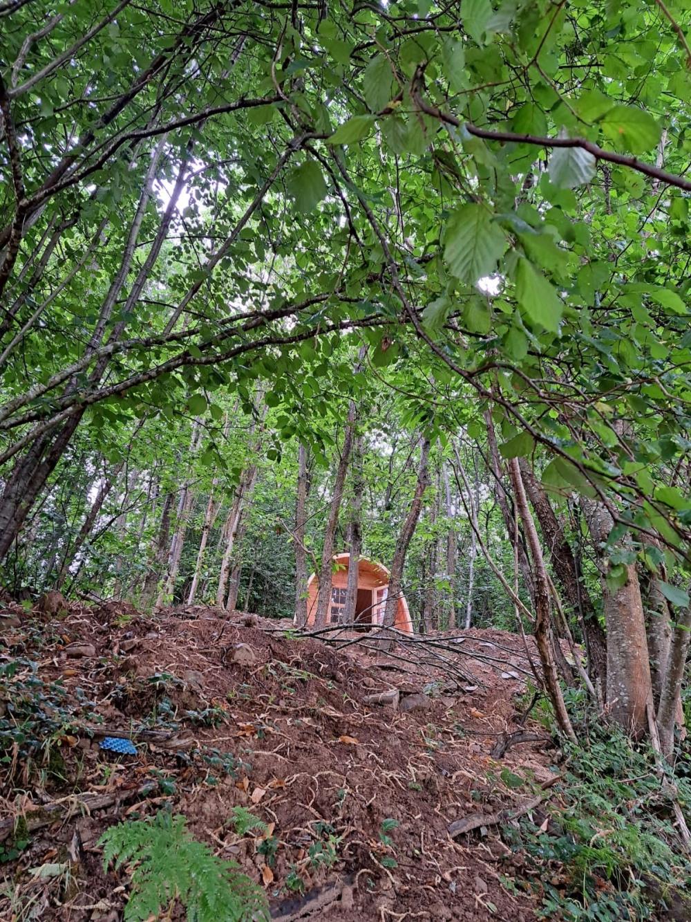  à vendre maison de campagne Campo De Caso Nalón 54