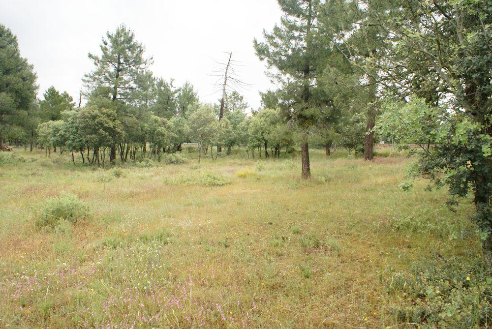  à vendre terrain Marugán Campiña Segoviana 5