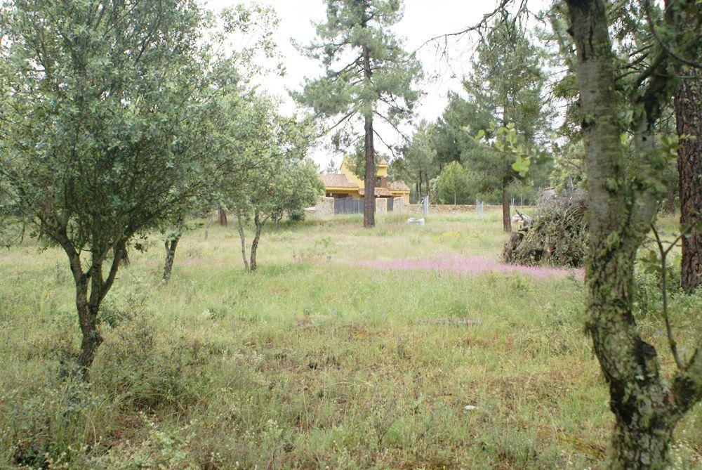  à vendre terrain Marugán Campiña Segoviana 10