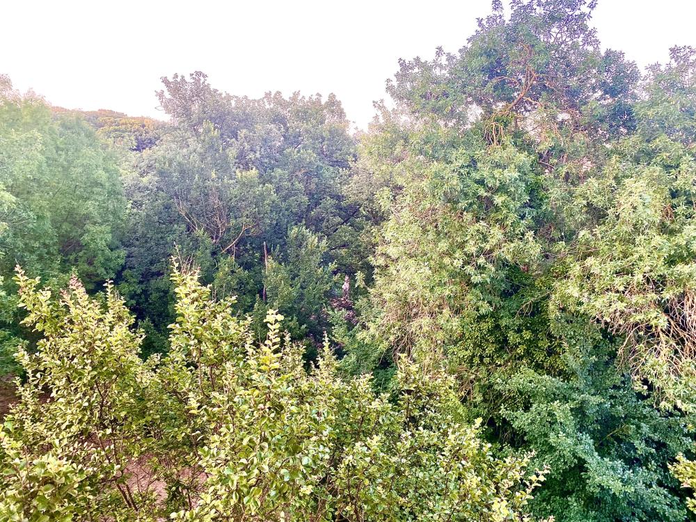  à vendre maison de maître Palau Gironès 4