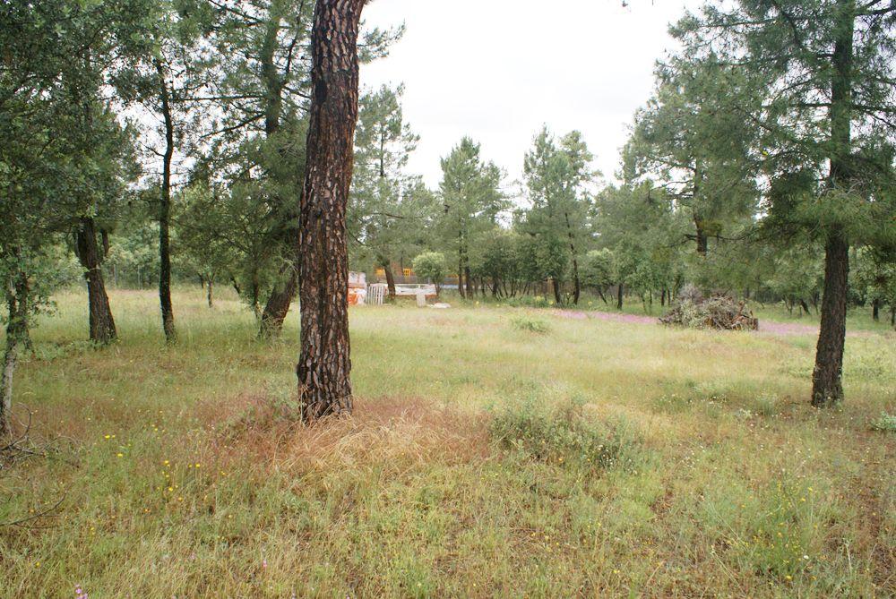  à vendre terrain Marugán Campiña Segoviana 11