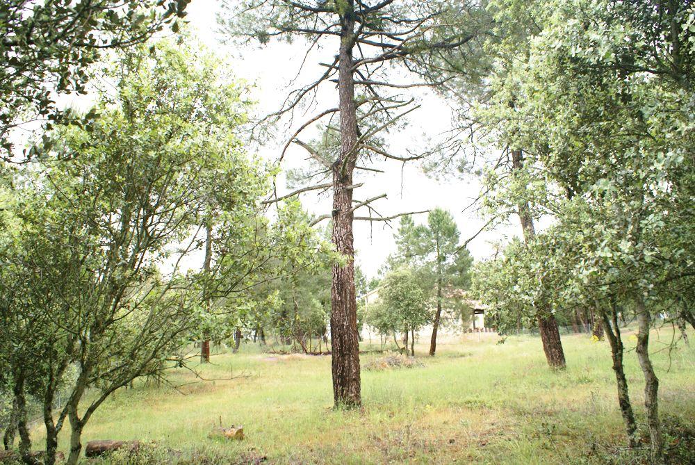  à vendre terrain Marugán Campiña Segoviana 9