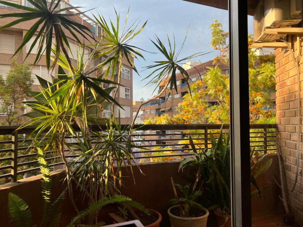  à vendre appartement La Saida Sant Antoni Valence 13