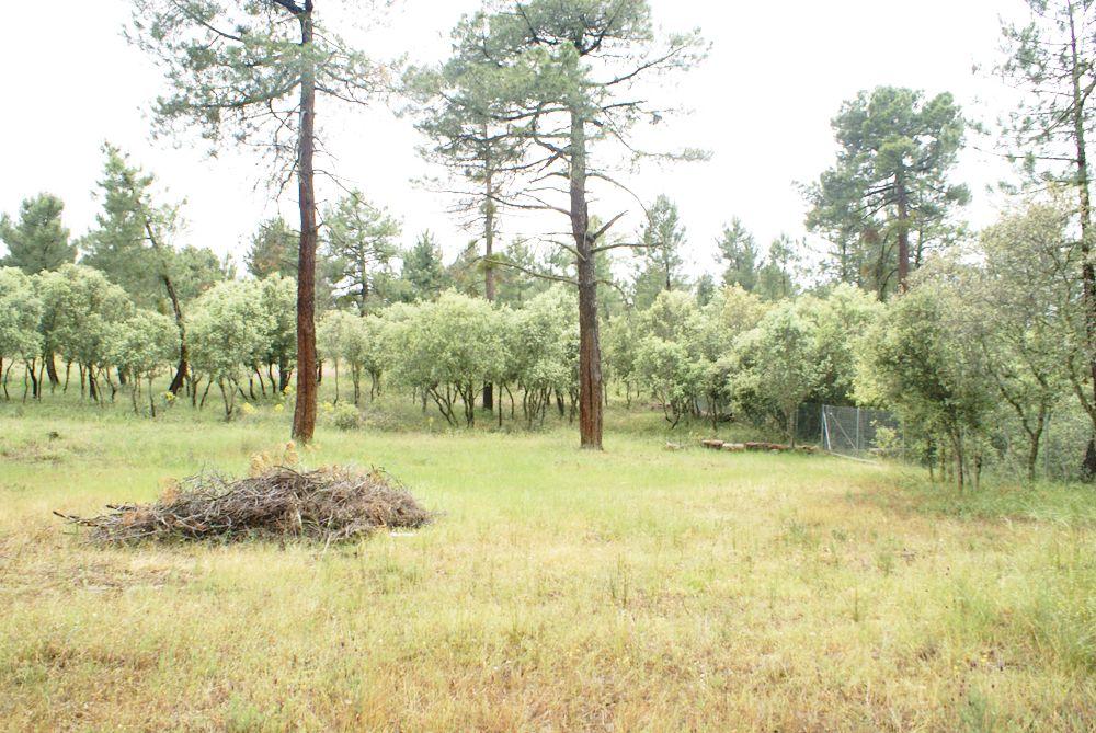  à vendre terrain Marugán Campiña Segoviana 12