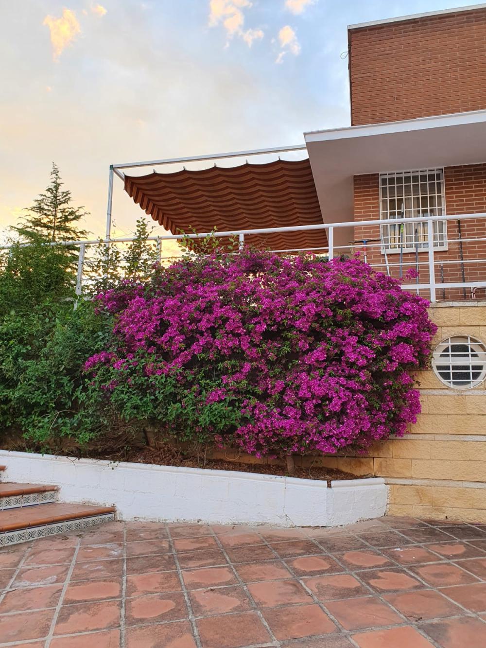  à vendre maison de campagne Alcolea Cordoue 5