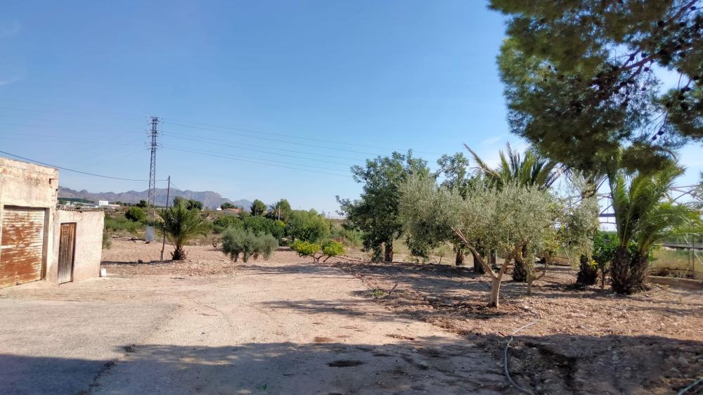  à vendre maison de campagne La Murada Baix Segura 18
