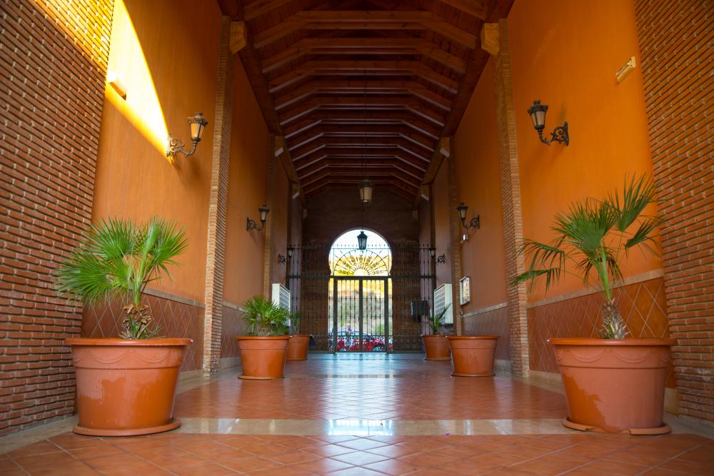  à vendre appartement La Duquesa Costa Del Sol Occidental 38