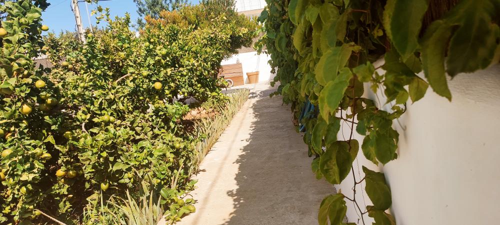  à vendre maison Sant Jordi De Ses Salines Sant Josep De Sa Talaia 18