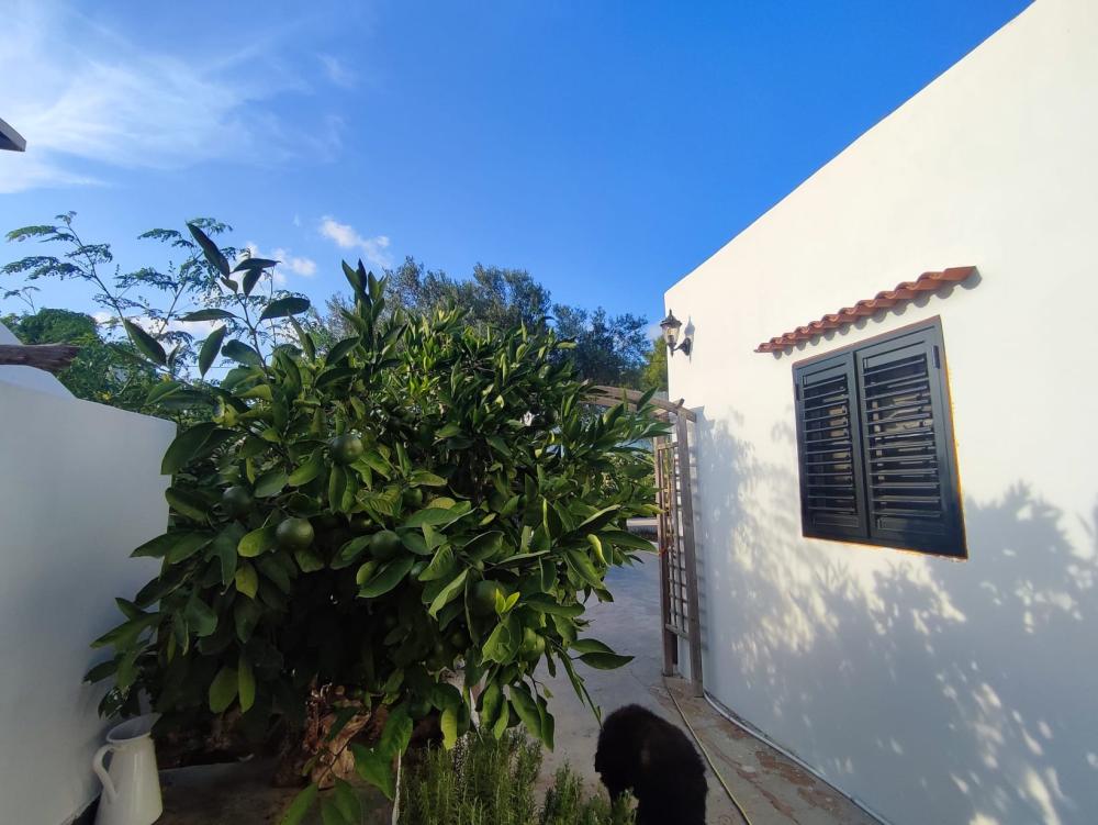  à vendre maison Sant Jordi De Ses Salines Sant Josep De Sa Talaia 5