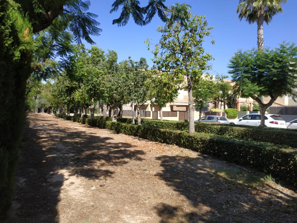  à vendre villa Puig Horta Nord 6