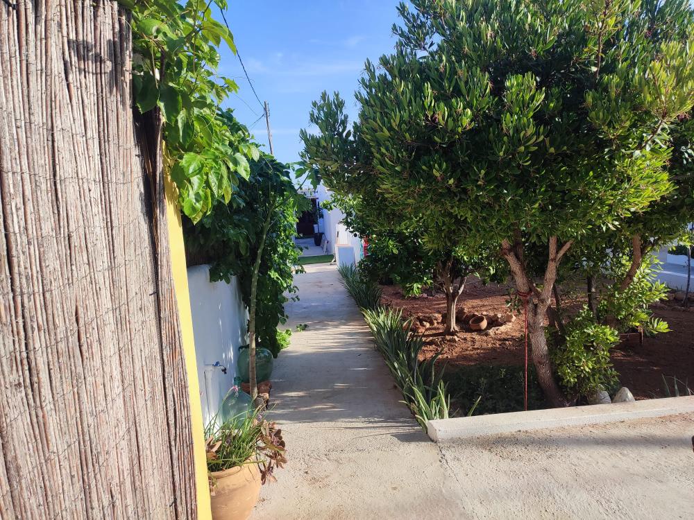  à vendre maison Sant Jordi De Ses Salines Sant Josep De Sa Talaia 10