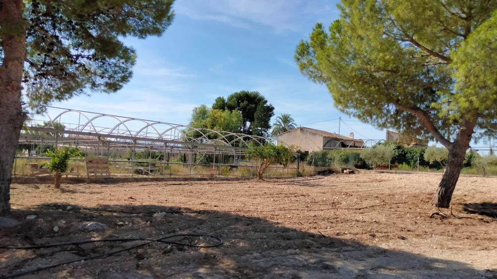  à vendre maison de campagne La Murada Baix Segura 16