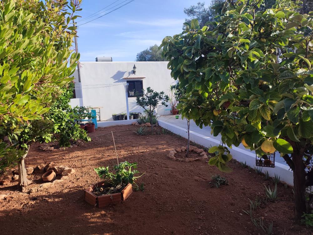  à vendre maison Sant Jordi De Ses Salines Sant Josep De Sa Talaia 11
