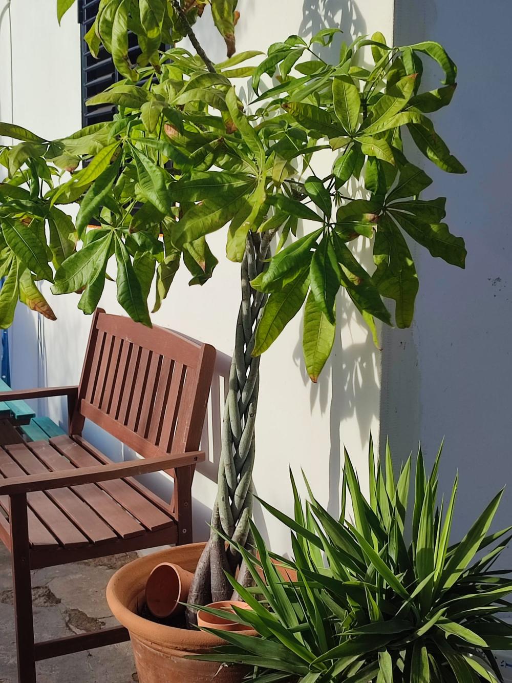 à vendre maison Sant Jordi De Ses Salines Sant Josep De Sa Talaia 8