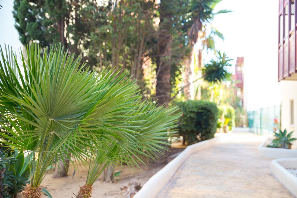  à vendre appartement La Duquesa Costa Del Sol Occidental 48