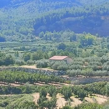 Rugat Vall D''albaida maison foto 5499344