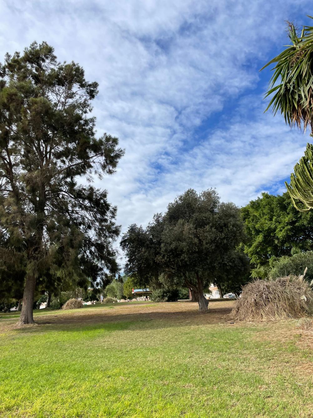  à vendre maison de ville Playa De Los Locos-Aguas Nuevas-Torreblanca Baix Segura 37