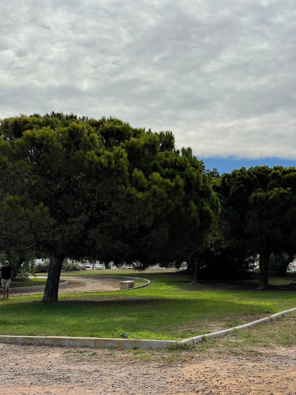  à vendre maison de ville Playa De Los Locos-Aguas Nuevas-Torreblanca Baix Segura 35
