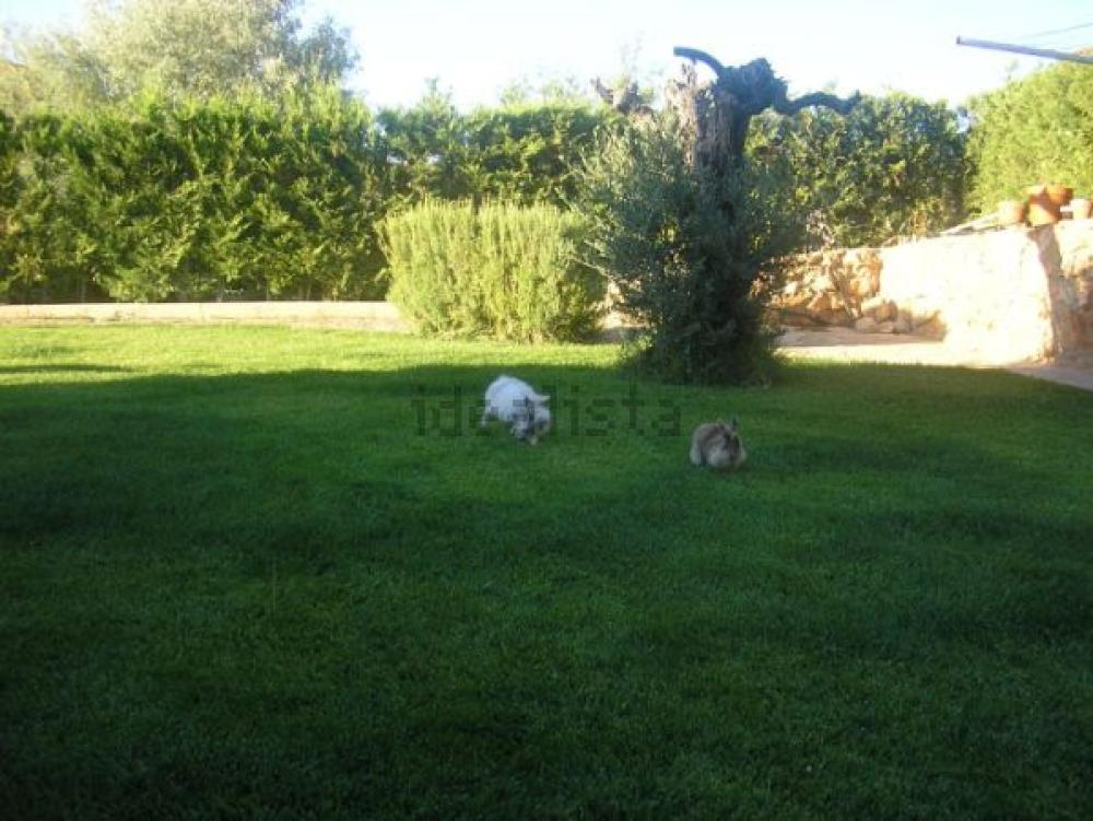  à vendre maison jumelée Cañada Molina Serranía Media 4