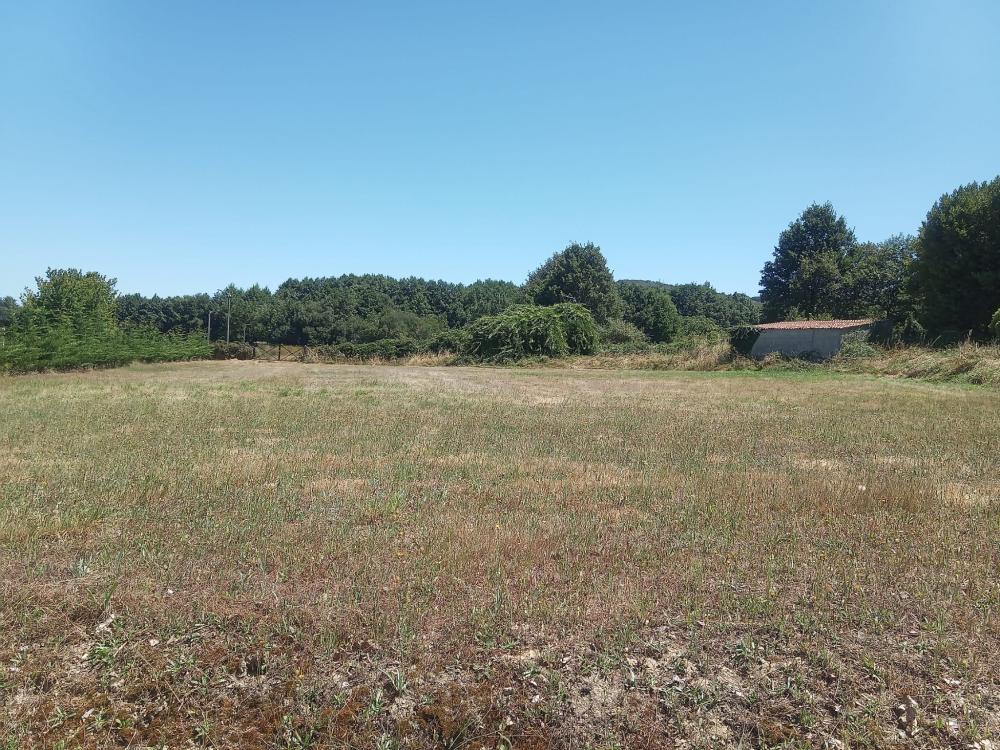  à vendre maison de campagne Guntimil Limia 16