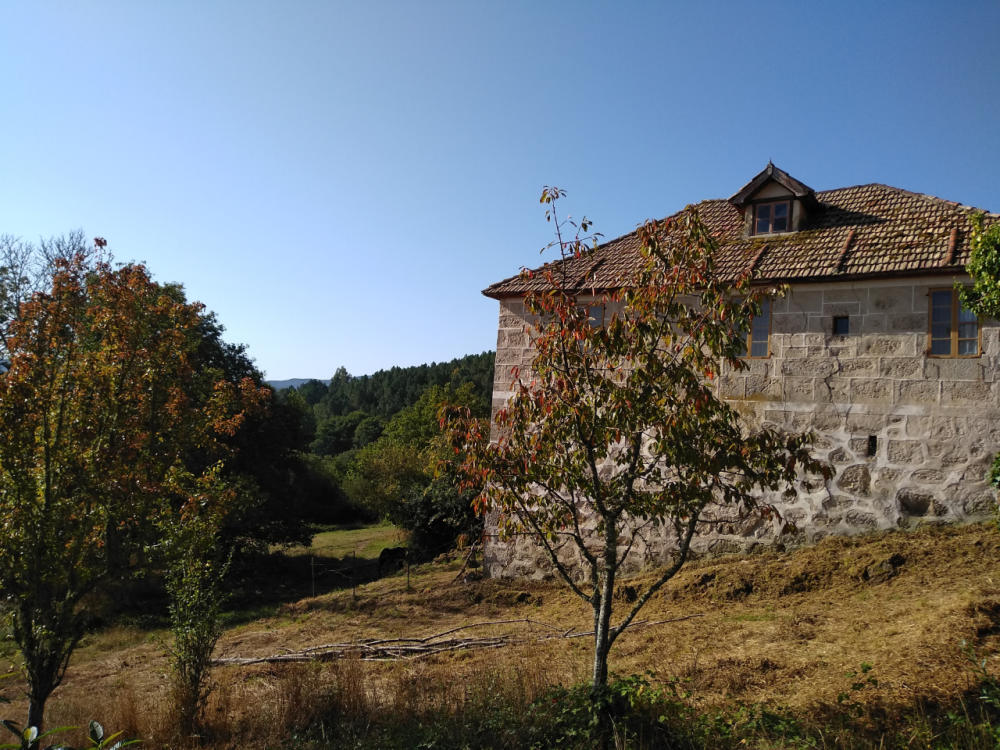  à vendre maison Santa Maria Madre Terra Da Celanova 4